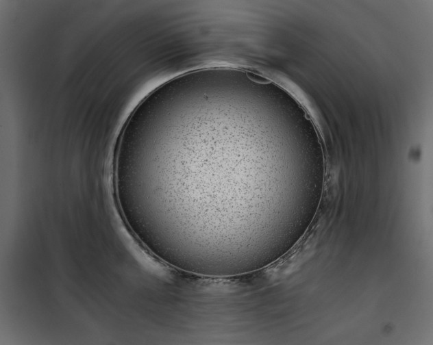 X0000101430811200807141240
