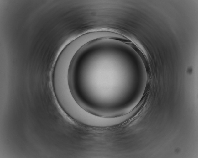 X0000101430813200807141240