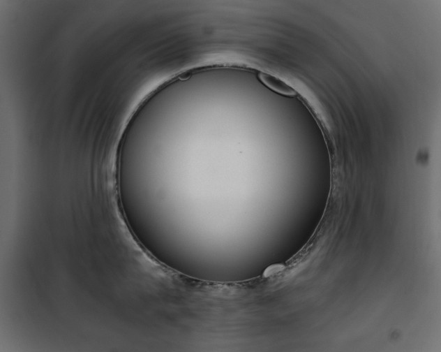 X0000101430815200807141240
