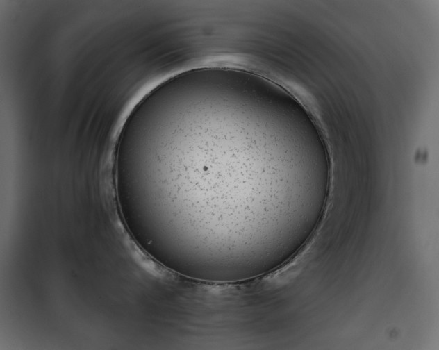 X0000101430816200807141240