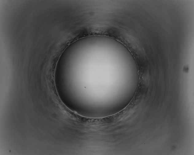 X0000101430817200807141239