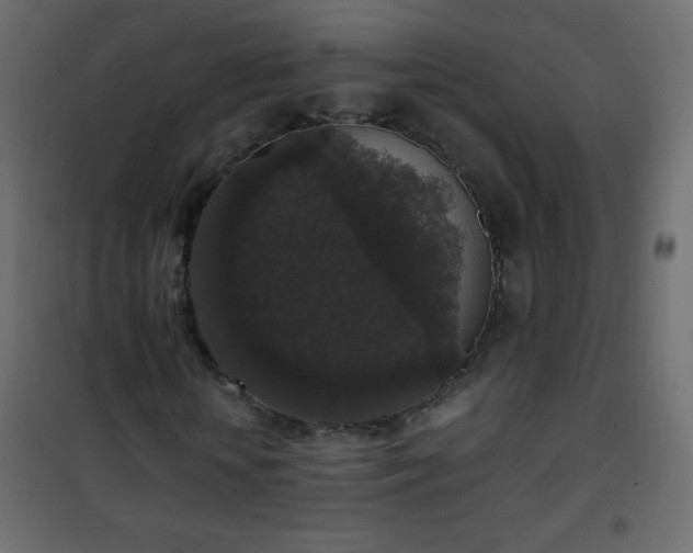 X0000101430818200807141239