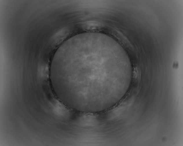 X0000101430820200807141239
