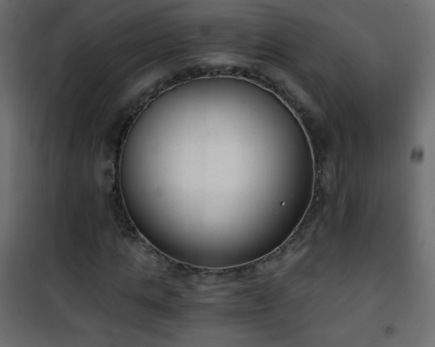 X0000101430821200807141239