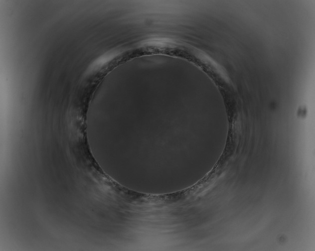 X0000101430822200807141239