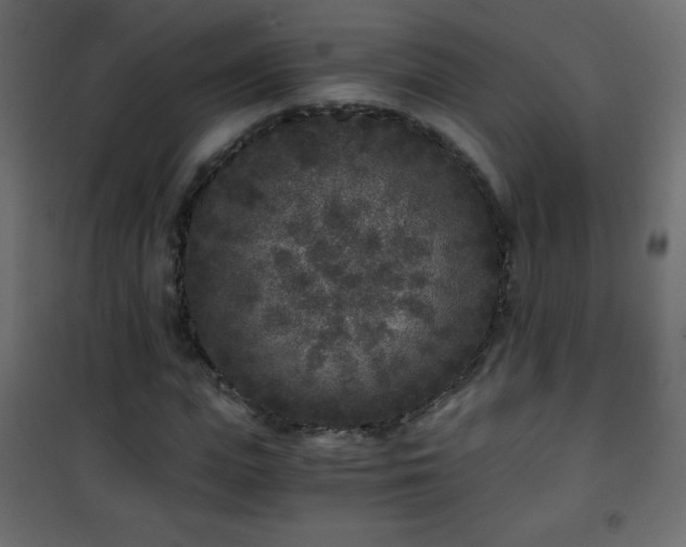 X0000101430823200807141239