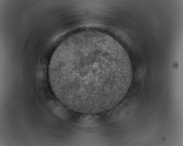 X0000101430824200807141239