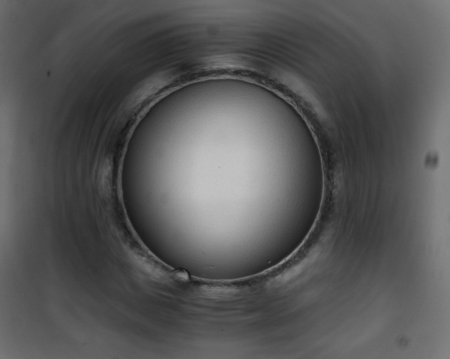 X0000101430825200807141239