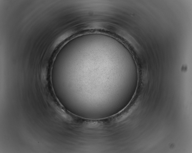 X0000101430826200807141239