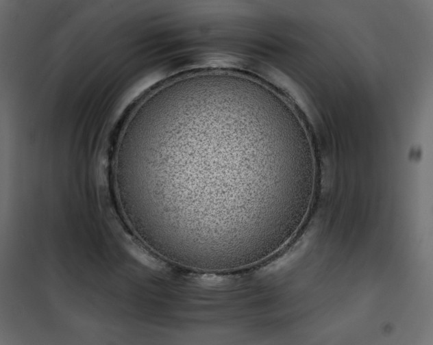 X0000101430827200807141239