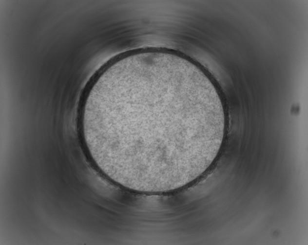 X0000101430828200807141239