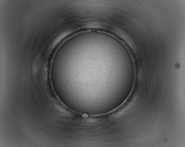 X0000101430829200807141239