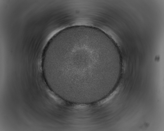 X0000101430830200807141239