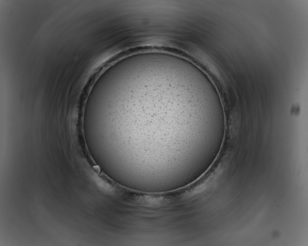 X0000101430831200807141239