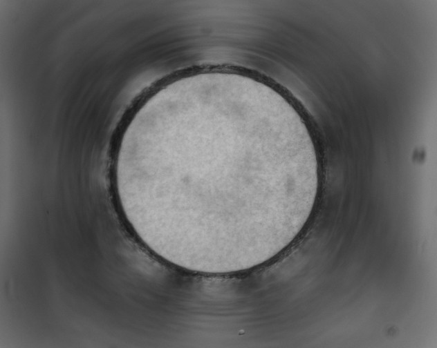 X0000101430832200807141239