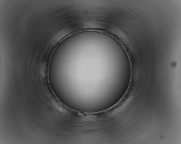 X0000101430833200807141239