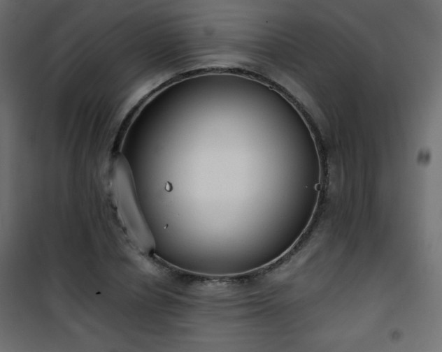 X0000101430834200807141239
