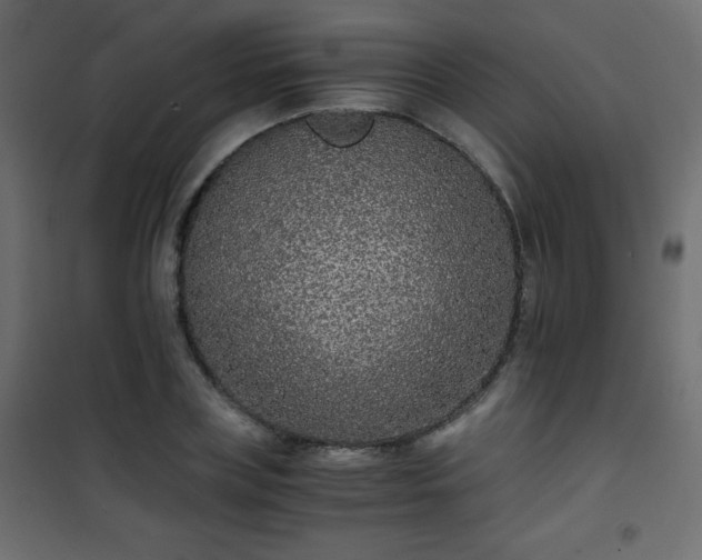 X0000101430835200807141240