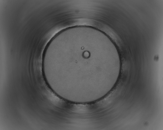 X0000101430836200807141240
