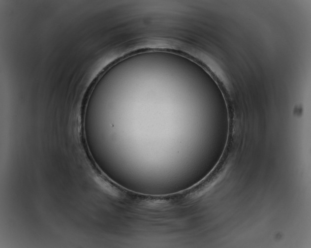 X0000101430837200807141240