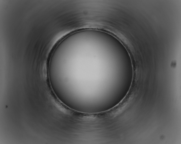 X0000101430838200807141240