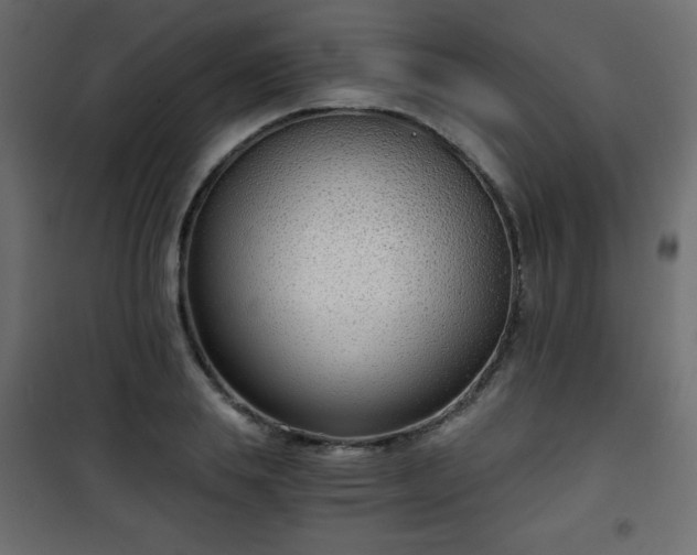 X0000101430839200807141240