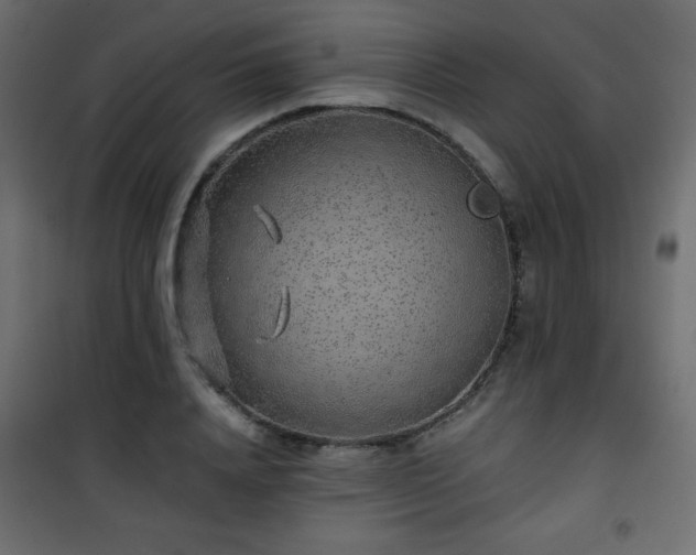 X0000101430840200807141240