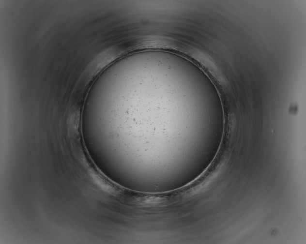 X0000101430841200807141240