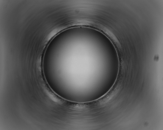 X0000101430842200807141240