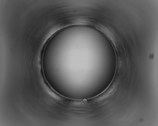 X0000101430843200807141240