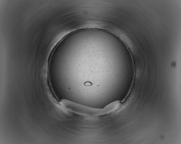 X0000101430844200807141240