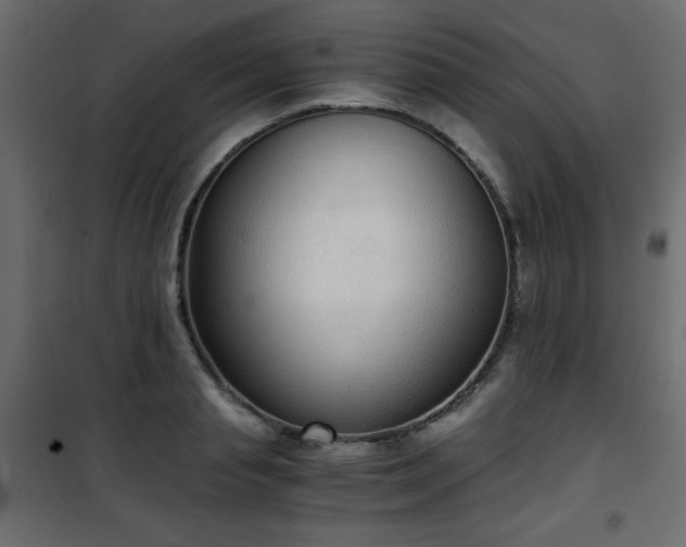X0000101430845200807141240