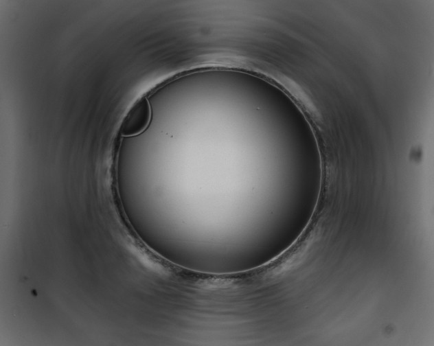 X0000101430846200807141240