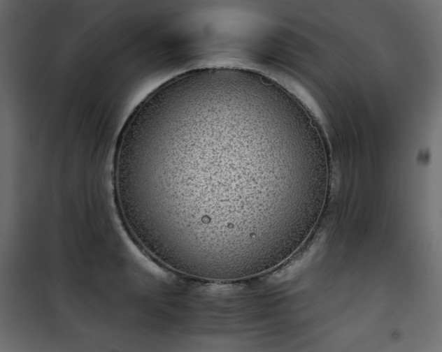 X0000101430847200807141240
