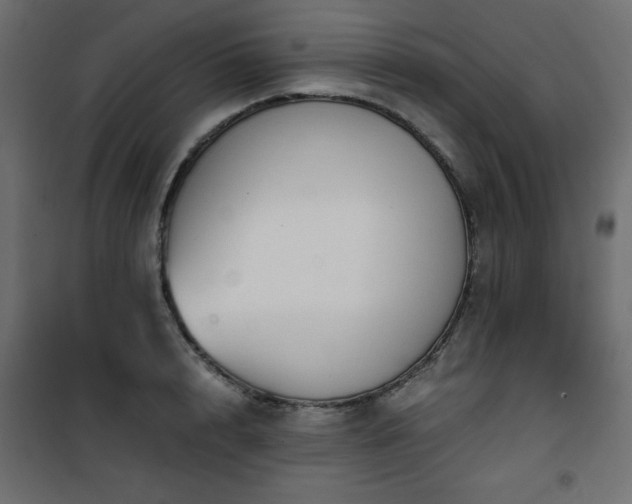 X0000101430848200807141240