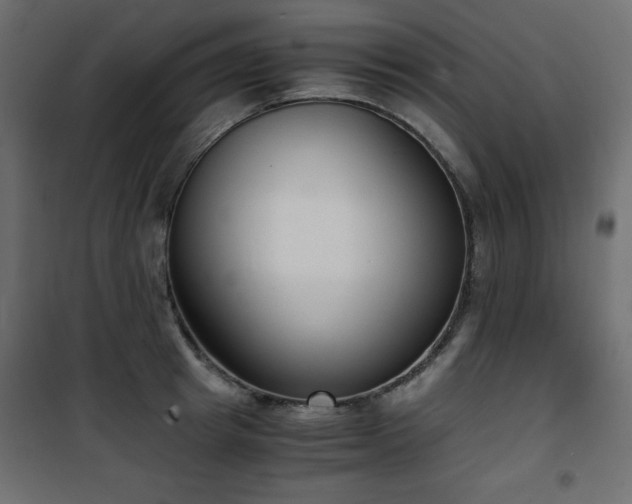 X0000101430849200807141240