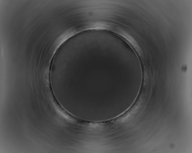 X0000101430850200807141240