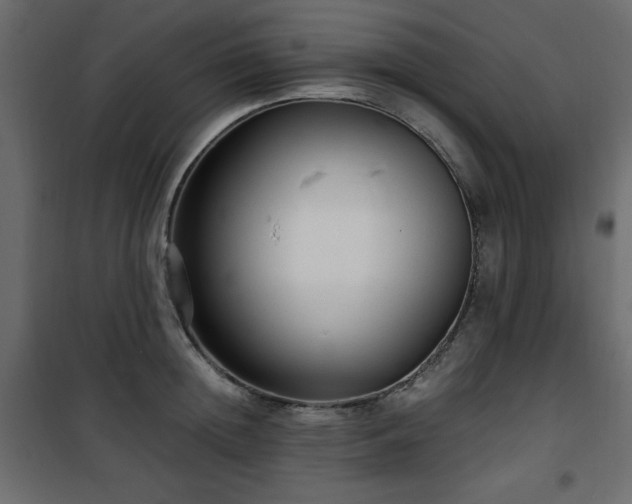 X0000101430852200807141240