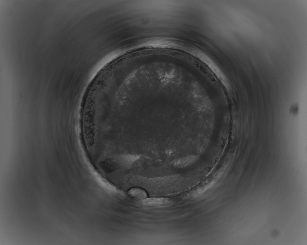 X0000101430853200807141240