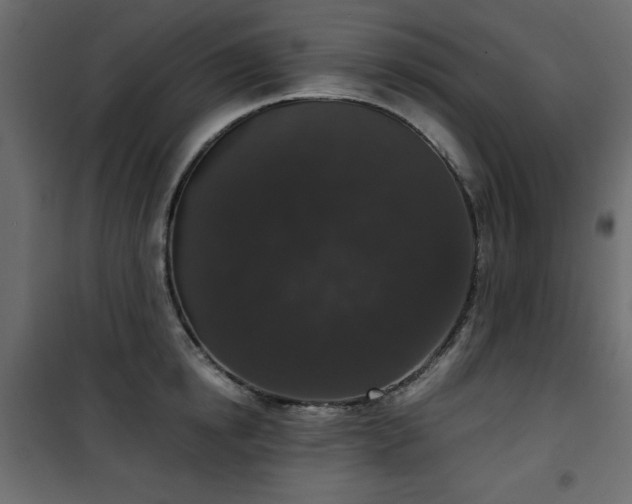 X0000101430854200807141240
