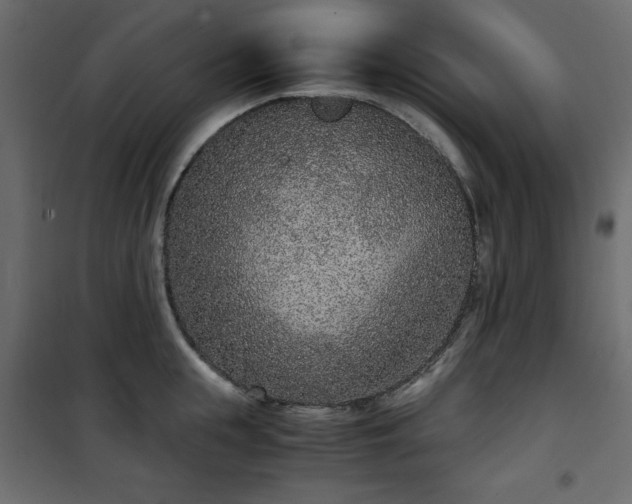 X0000101430855200807141240