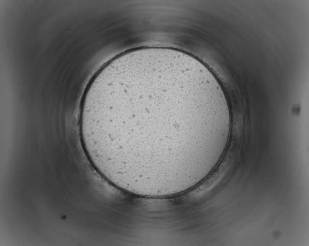 X0000101430856200807141240