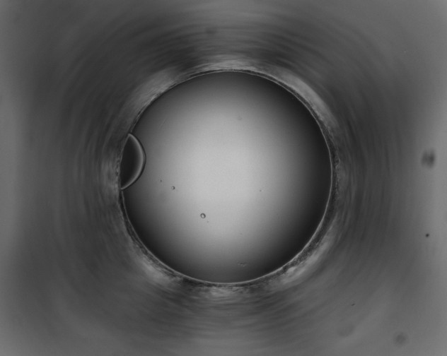 X0000101430857200807141240