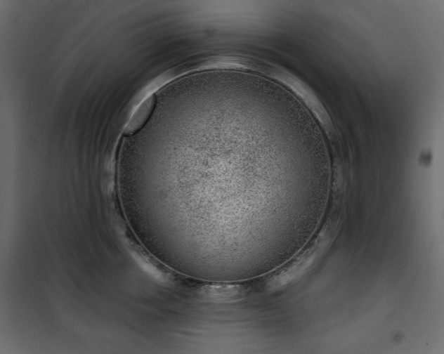 X0000101430858200807141240