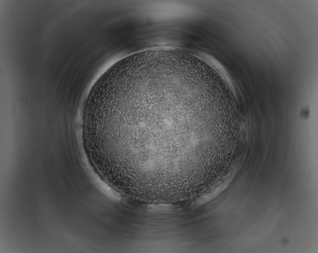 X0000101430859200807141240