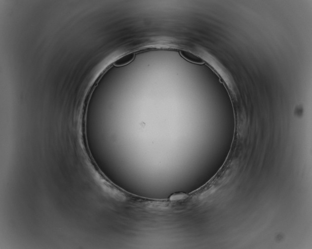 X0000101430861200807141240