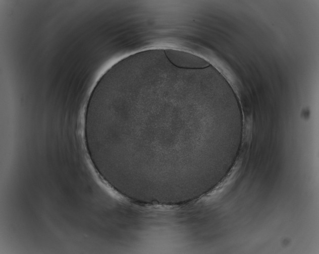 X0000101430862200807141240