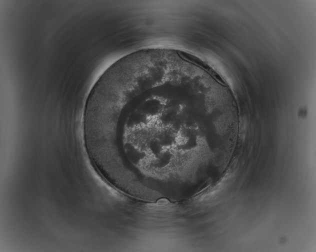 X0000101430863200807141240
