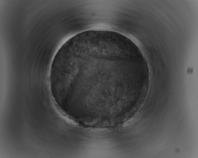 X0000101430864200807141240
