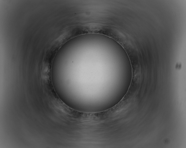 X0000101430866200807141239